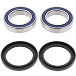 ALL BALLS WHEEL BEARING KIT