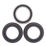 ALL BALLS WHEEL BEARING KIT