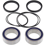 ALL BALLS WHEEL BEARING KIT