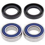 ALL BALLS WHEEL BEARING KIT