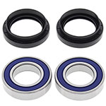 ALL BALLS WHEEL BEARING KIT