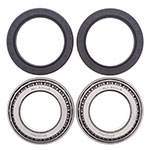 ALL BALLS WHEEL BEARING KIT