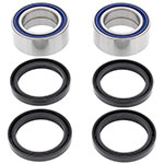 ALL BALLS WHEEL BEARING KIT