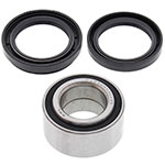 ALL BALLS WHEEL BEARING KIT