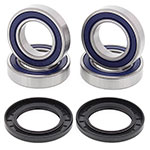 ALL BALLS WHEEL BEARING KIT