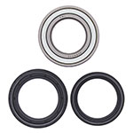 ALL BALLS WHEEL BEARING KIT