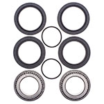 ALL BALLS WHEEL BEARING KIT