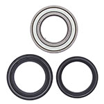 ALL BALLS WHEEL BEARING KIT