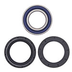 ALL BALLS WHEEL BEARING KIT