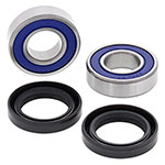 ALL BALLS WHEEL BEARING KIT