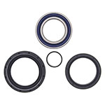 ALL BALLS WHEEL BEARING KIT
