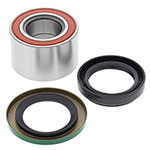 ALL BALLS WHEEL BEARING KIT