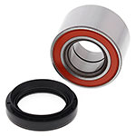ALL BALLS WHEEL BEARING KIT