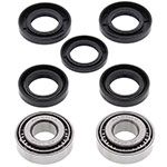ALL BALLS WHEEL BEARING KIT