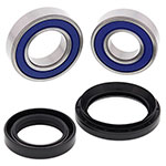ALL BALLS WHEEL BEARING KIT