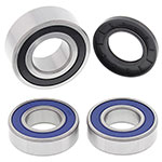ALL BALLS WHEEL BEARING KIT