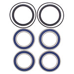 ALL BALLS WHEEL BEARING KIT
