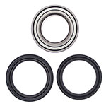 ALL BALLS WHEEL BEARING KIT