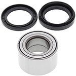 ALL BALLS WHEEL BEARING KIT