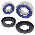 ALL BALLS WHEEL BEARING KIT