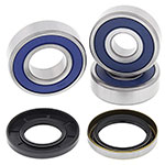 ALL BALLS WHEEL BEARING KIT