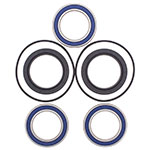 ALL BALLS WHEEL BEARING KIT