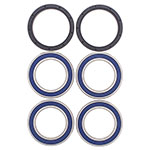 ALL BALLS WHEEL BEARING KIT