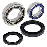 ALL BALLS WHEEL BEARING KIT