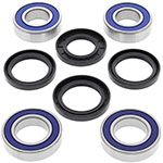 ALL BALLS WHEEL BEARING KIT