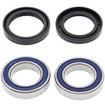ALL BALLS WHEEL BEARING KIT