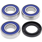 ALL BALLS WHEEL BEARING KIT