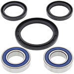 ALL BALLS WHEEL BEARING KIT