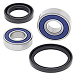 ALL BALLS WHEEL BEARING KIT