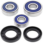 ALL BALLS WHEEL BEARING KIT