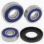 ALL BALLS WHEEL BEARING KIT