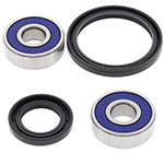 ALL BALLS WHEEL BEARING KIT
