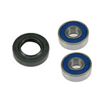 ALL BALLS WHEEL BEARING KIT