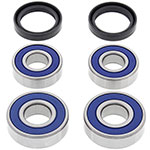 ALL BALLS WHEEL BEARING KIT