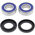 ALL BALLS WHEEL BEARING KIT