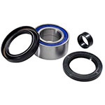 ALL BALLS WHEEL BEARING KIT