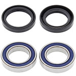 ALL BALLS WHEEL BEARING KIT