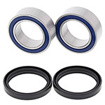 ALL BALLS WHEEL BEARING KIT