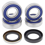 ALL BALLS WHEEL BEARING KIT