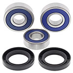 ALL BALLS WHEEL BEARING KIT