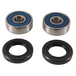 ALL BALLS WHEEL BEARING KIT