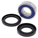 All Balls Lower Steering Bearing & Seal Kits