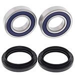 ALL BALLS WHEEL BEARING KIT