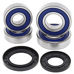 ALL BALLS WHEEL BEARING KIT