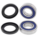 ALL BALLS WHEEL BEARING KIT