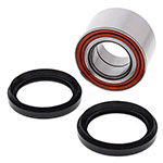 ALL BALLS WHEEL BEARING KIT